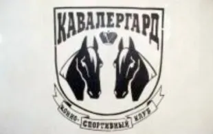 Баннер компании Кавалергард