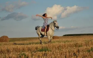 Баннер компании Дикие Сайгаки