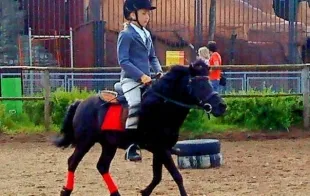 Баннер компании Кавалькада (Минский зоопарк)