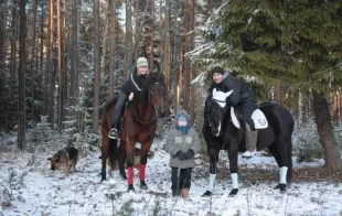 Баннер компании Частная конюшня (Колодищи)