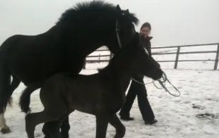 Баннер компании Штотц агро-сервис