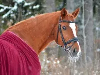 Баннер компании Урожайный