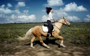 Баннер компании Крутогорье