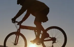 Баннер компании Велобаза