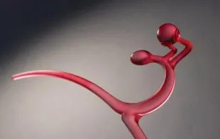 Баннер компании Детский фитнес клуб "Победитель"