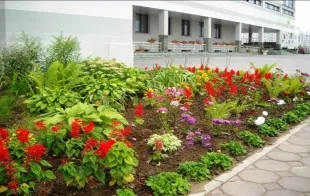 Баннер компании Средняя школа №2