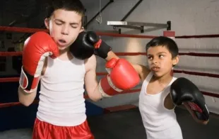 Баннер компании СДЮШОР по боксу