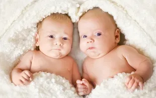 Баннер компании Фотограф Мария Шевченко