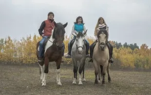 Баннер компании С Veterком