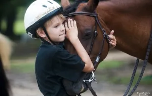 Баннер компании Верхом вдоль Менки