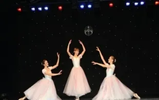 Баннер компании Спорт-Грация