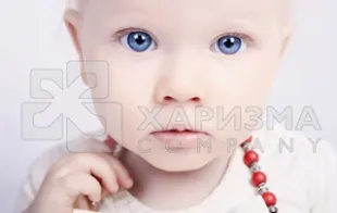 Баннер компании Харизма компани