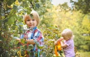 Баннер компании Фотограф Саша Громов