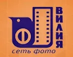 Баннер компании Сеть фотосалонов Vilia