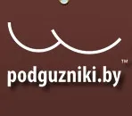 Баннер компании Подгузники.by