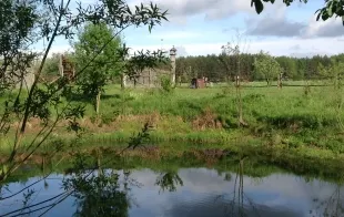 Баннер компании Забродье