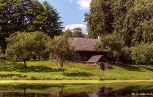 Баннер компании Вязынка