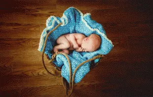 Баннер компании Детская и семейная фотография