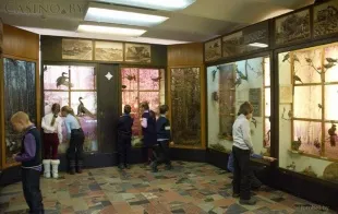 Баннер компании Музей природы и экологии