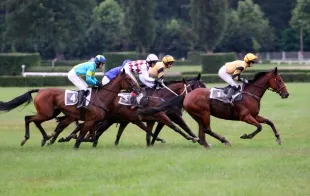 Баннер компании Зазерье