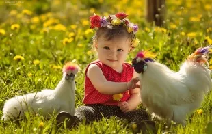 Баннер компании Зоопарк «Сирин»