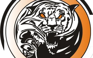 Баннер компании Тигр