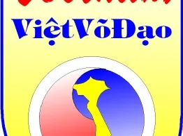 Баннер компании Вовинам Вьет Во Дао