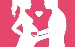 Баннер компании Fructus Club