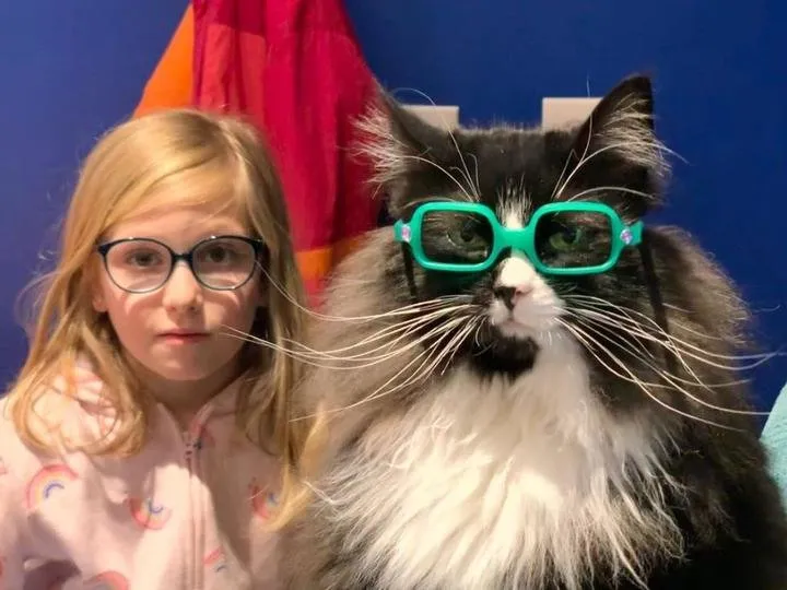 Чтобы дети не стеснялись очков, одна из оптик наняла кошку-модель