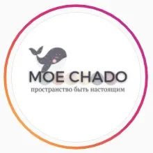 Баннер компании MOE CHADO