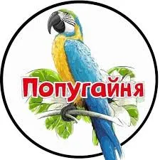 Баннер компании Попугайня