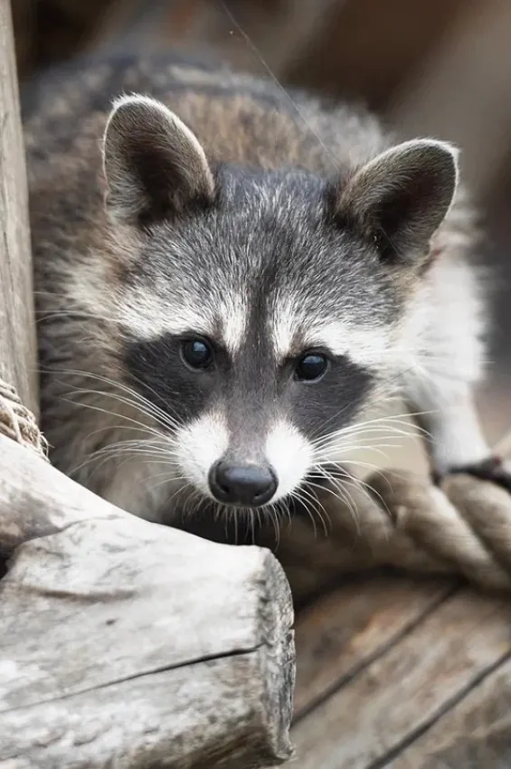 Куда поехать на выходные в Беларуси всей семьей: 6 классных мест