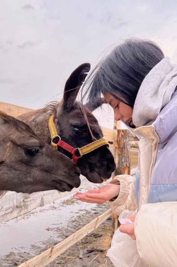Куда поехать на выходные в Беларуси всей семьей: 6 классных мест