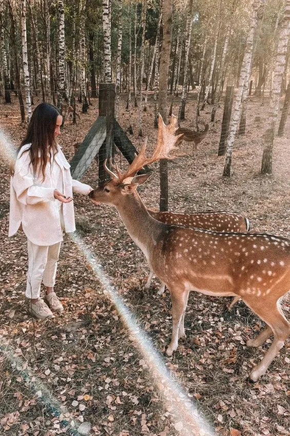 Парк Животных приглашает провести осенние каникулы вместе