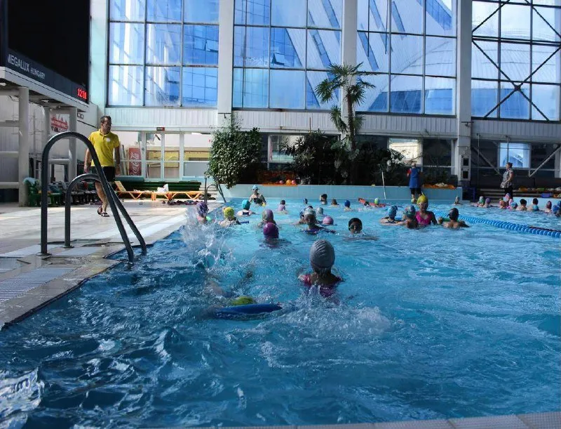 Коммерческая физкультурно-оздоровительная секция дневного пребывания