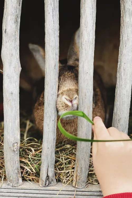 Куда поехать на выходные в Беларуси с семьей: 3 красивых места