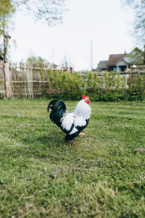 Куда поехать на выходные в Беларуси с семьей: 3 красивых места