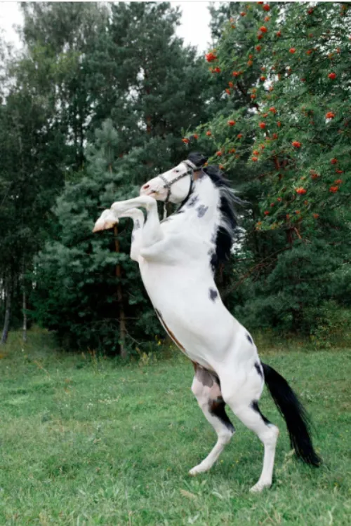 Куда поехать на выходные в Беларуси с семьей: 3 красивых места