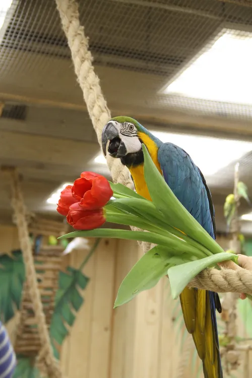 7 зоопарков в Беларуси, которые стоит посетить