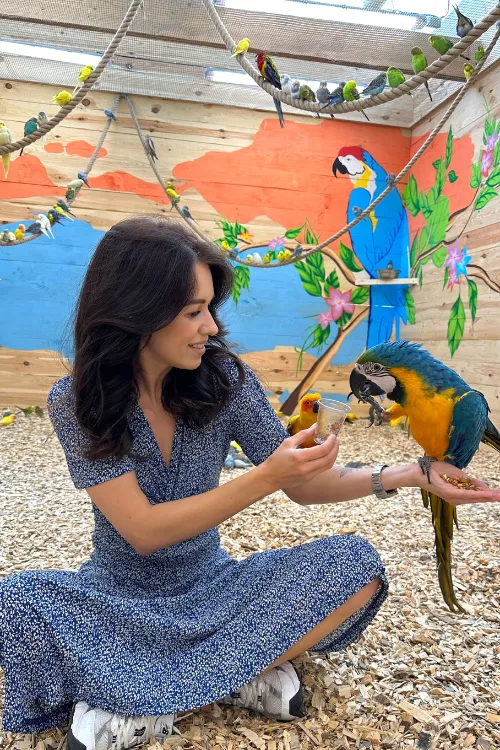 7 зоопарков в Беларуси, которые стоит посетить