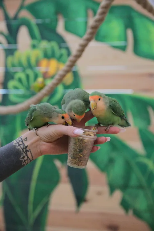 7 зоопарков в Беларуси, которые стоит посетить