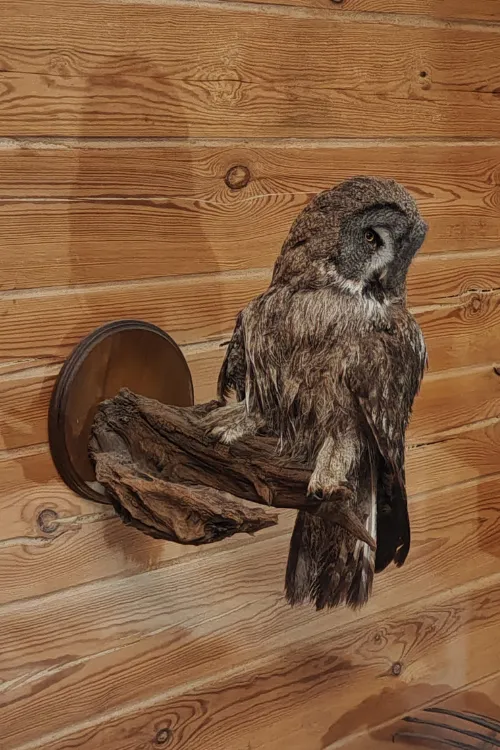 Сказочные семейные выходные: Отдых в загородном клубе “Три медведя” на Браславских озерах