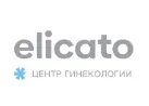 Логотип Elicato