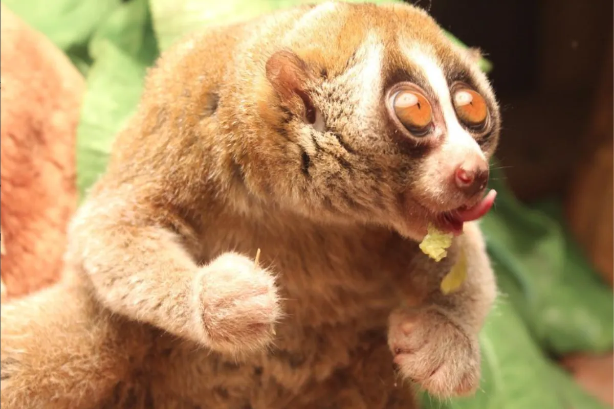 Брест для детей: развлекательные центры, игровые комнаты