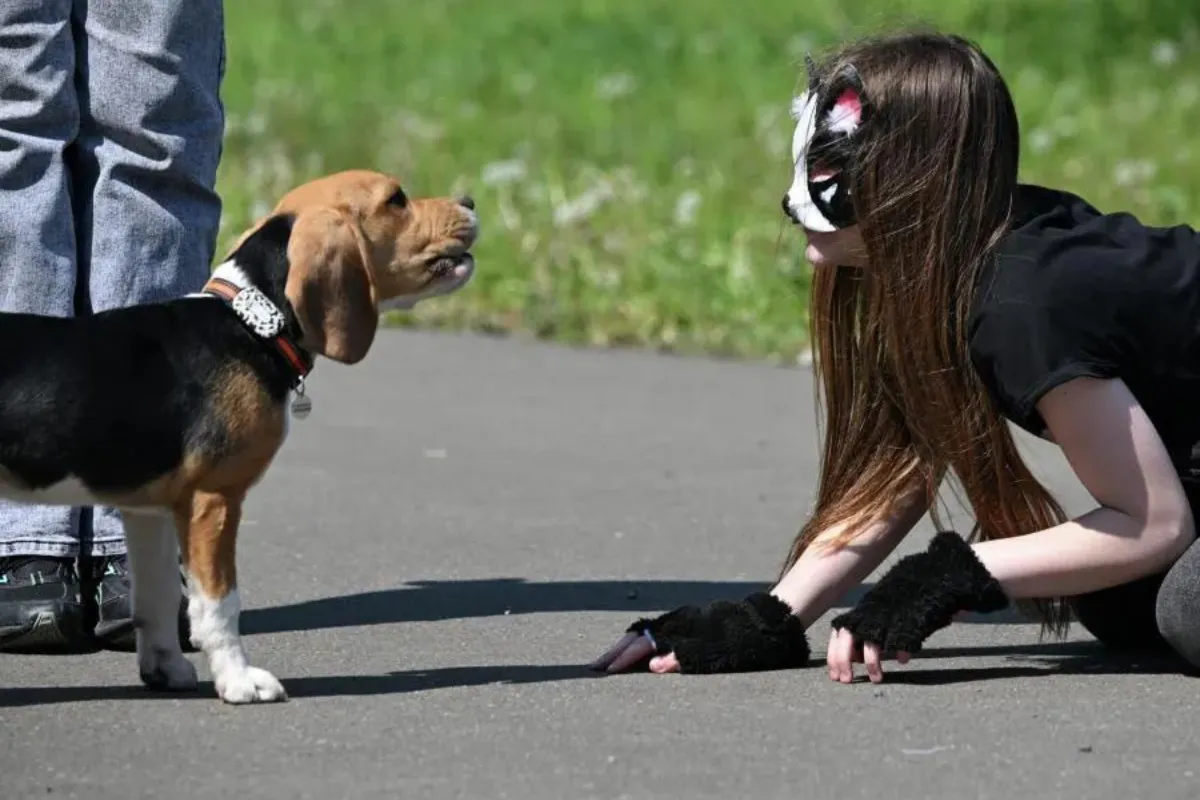 Квадроберы: как влияет на детскую психику новое увлечение