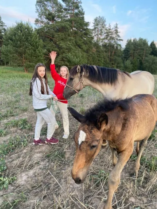 Летние каникулы 2025 в Беларуси: 8 лучших вариантов детского отдыха с проживанием