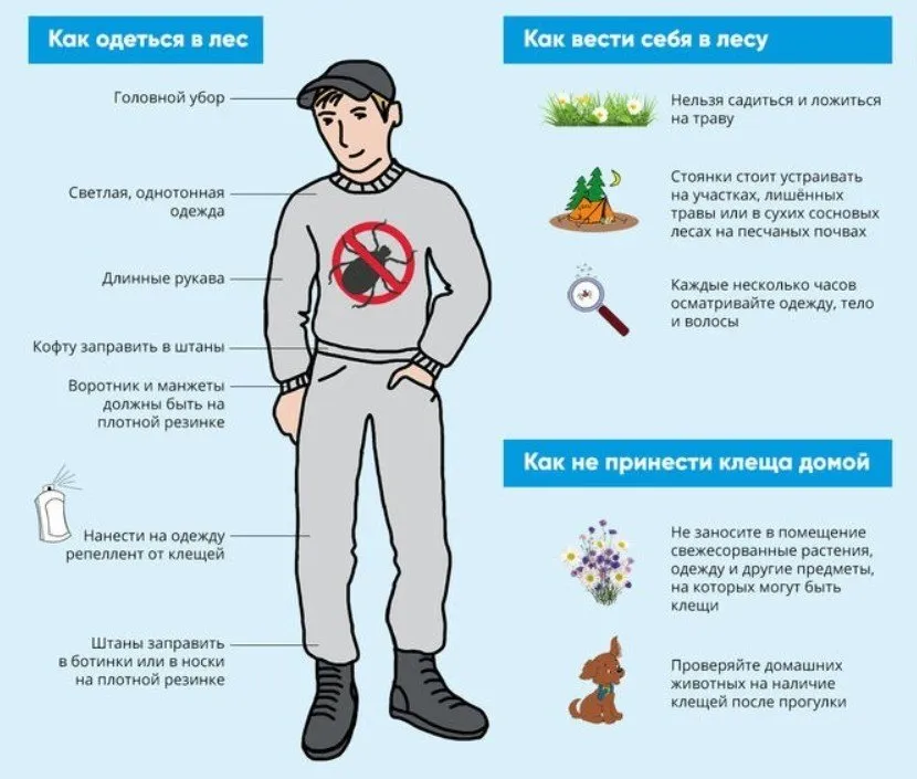 Что делать, если ребёнка укусил клещ: отвечает врач