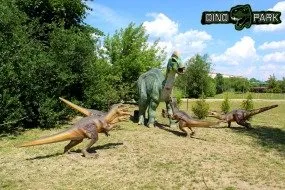Баннер компании Dino Park