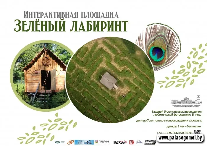 В Гомеле открылся зелёный лабиринт из тысячи елей — и там живут павлины