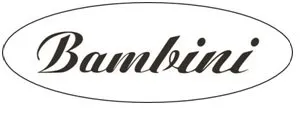 Баннер компании Bambini